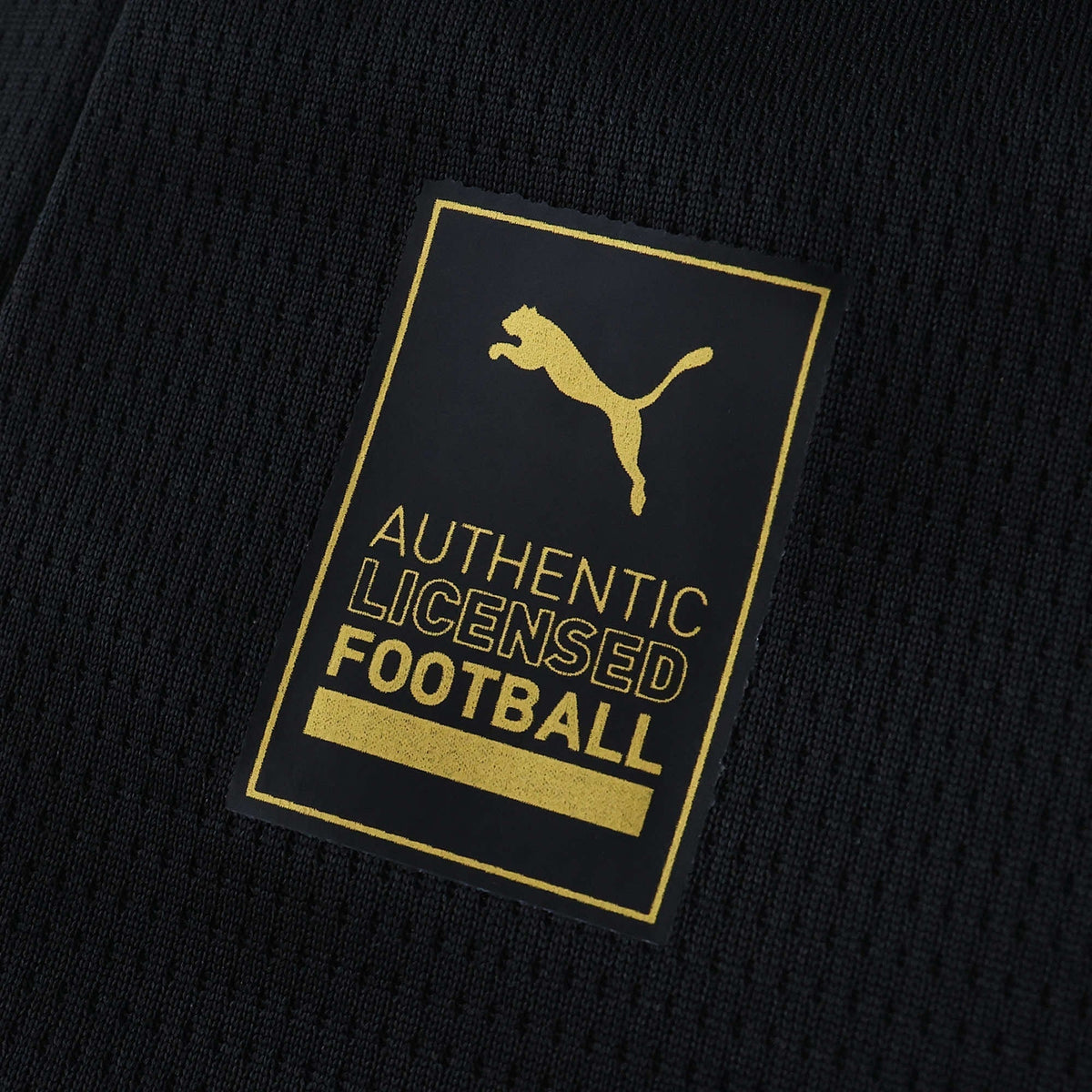 Away 25/26 Men's Shirt