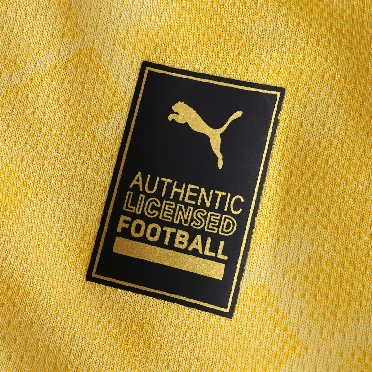 Third 25/26 Men's Shirt