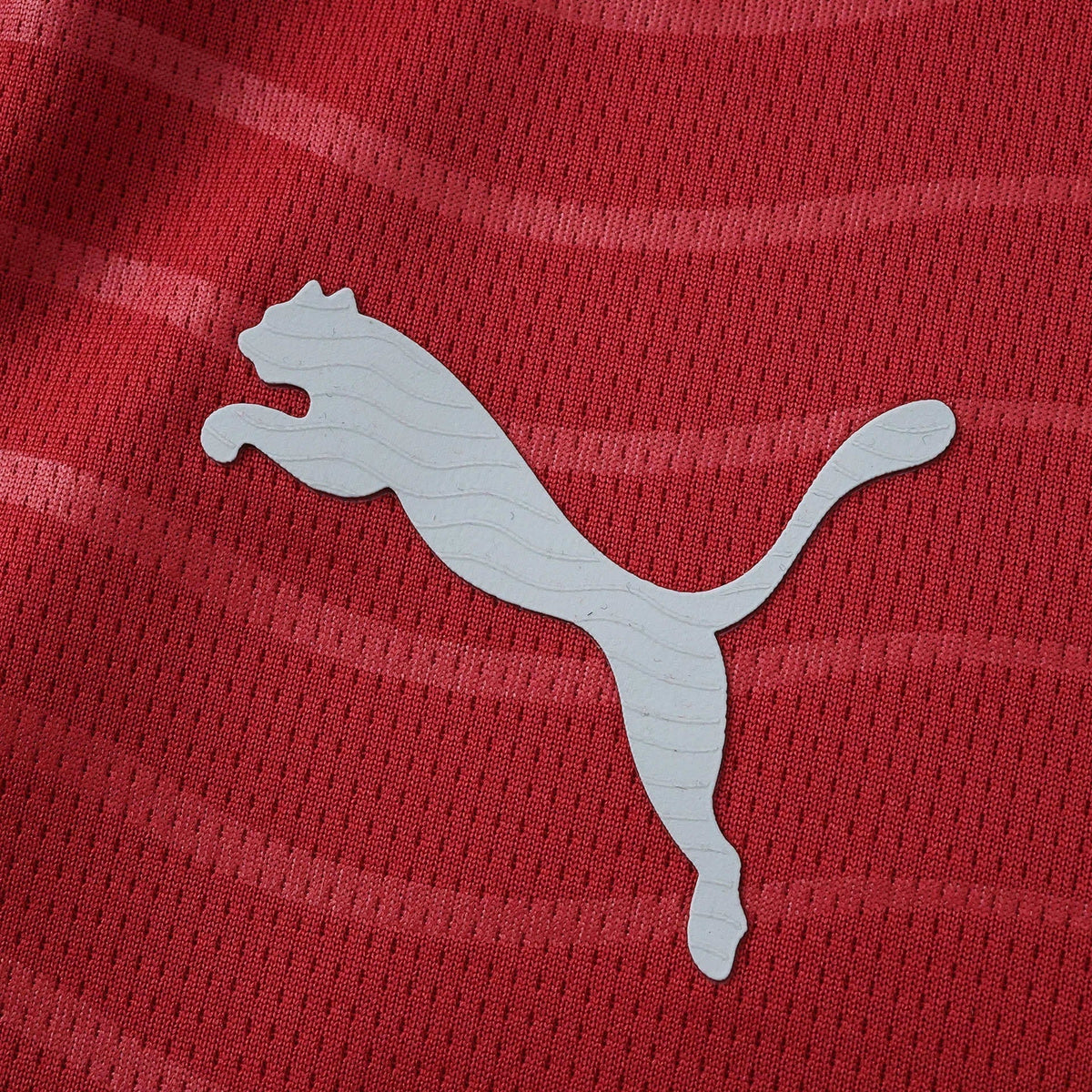 Home 26/27 Men's Shirt