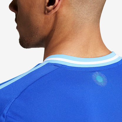 Away 24/25 Men's Shirt